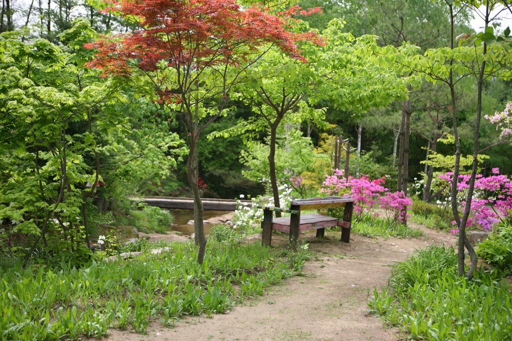 Namoowa Villa พยองซาง ภายนอก รูปภาพ